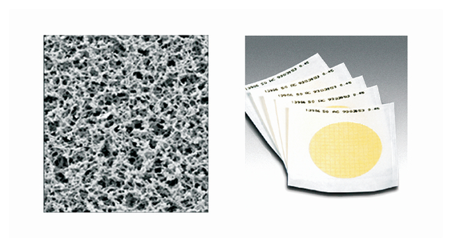 Gridded Sterile Cellulose Nitrate Membrane Filters: 0.45&mu;m