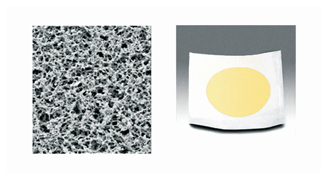 Nongridded Sterile Cellulose Membrane Filters