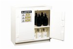 Solid Polyethylene Acid Cabinets: Two-Door Stand-Alone Model
