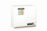 Solid Polyethylene Acid Cabinets: Two-Door Stand-Alone Model