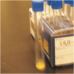 MIC Test Kit, Petroleum Microbiology Media: Sulfate Reducing Bacteria Media