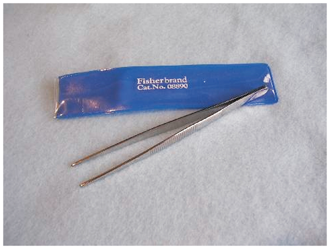 Dissecting Blunt-Pointed Forceps