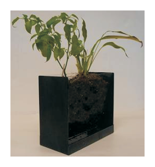 Root Tank