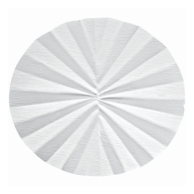 Whatman&trade; Qualitative Filter Paper: Grade 595 &frac12; Pleated Circles