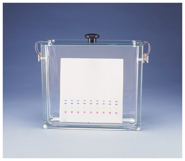 Kimble&trade; Kontes&trade; Rectangular TLC Developing Tanks