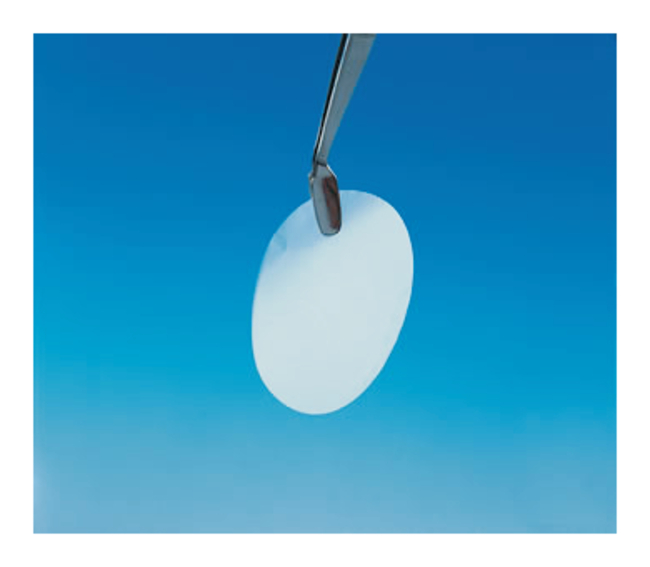 Whatman&trade; 13mm Nuclepore&trade; Polycarbonate Track-Etched Membranes