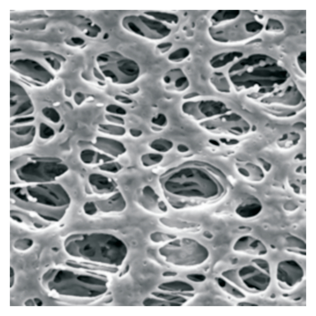 Express&trade; PLUS Membrane Filters