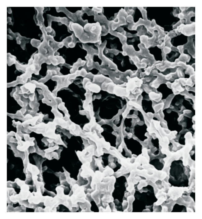 MF-Millipore&trade; Membrane Filter, 0.05 &mu;m