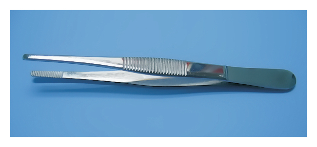 Straight Forceps 114 mm | Buy Online | www.fishersci.sg