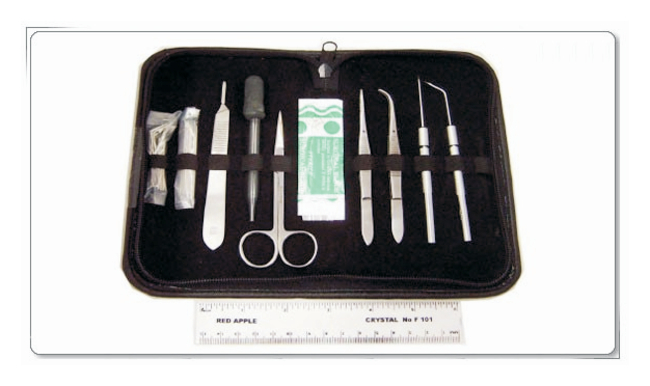 Botany Dissecting Kit in a Zippered Case