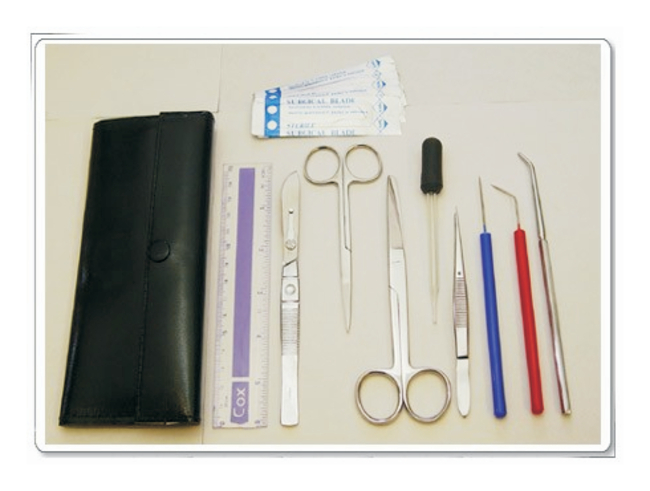 Advanced Dissecting Kit for Biology Classes
