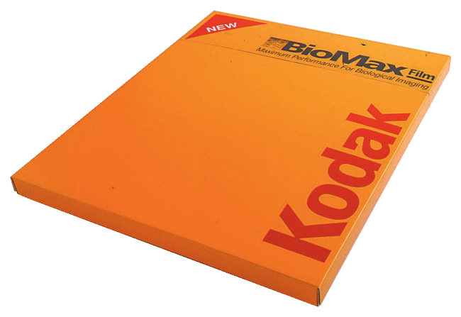 BioMax™ Light Film