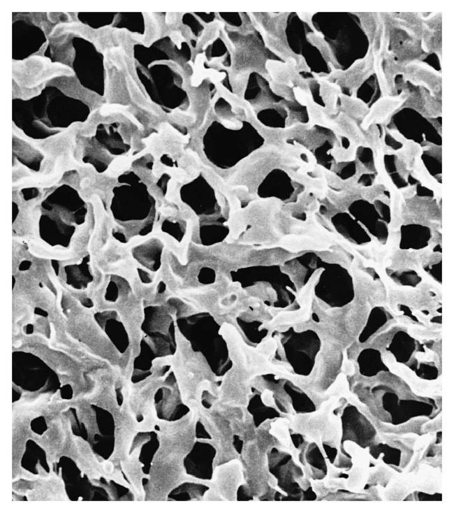 Durapore&trade; Membrane Filters 0.45 &mu;m