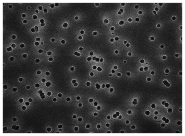 Isopore&trade; Membrane Filters, 0.2 &mu;m