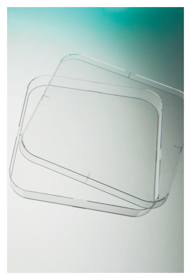 Petri Dishes