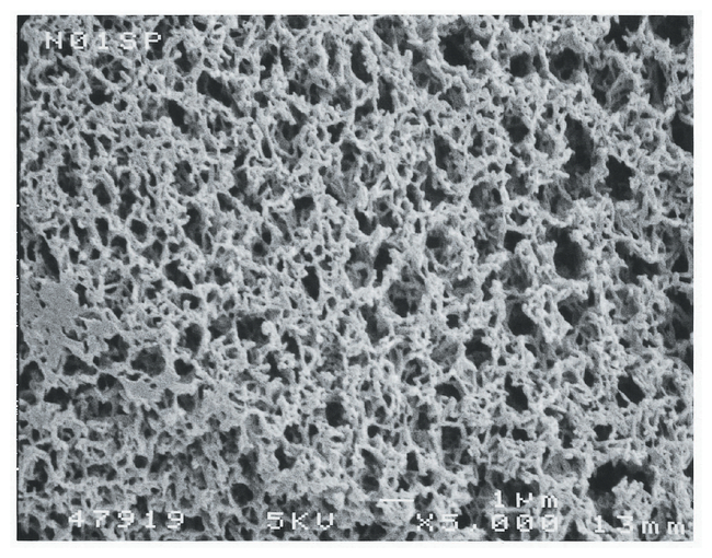 Magna&trade; Nylon Membrane Filters