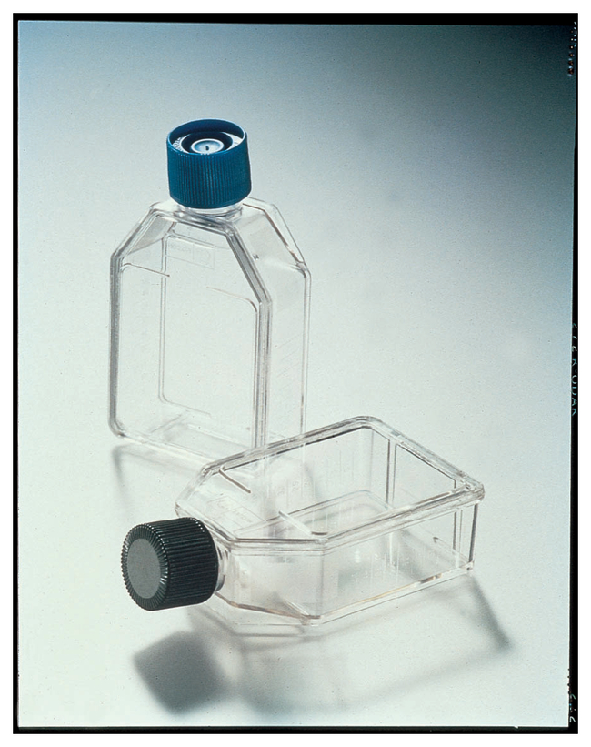 Tissue Culture Treated Flasks