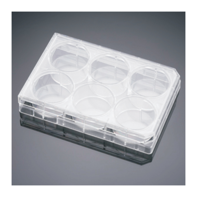 BioCoat&trade; Collagen I Multiwell Plates