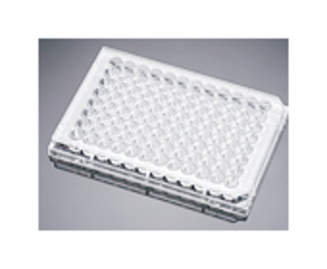 BioCoat&trade; 96-Well, Poly-D Lysine-Treated, Flat-Bottom Microplate