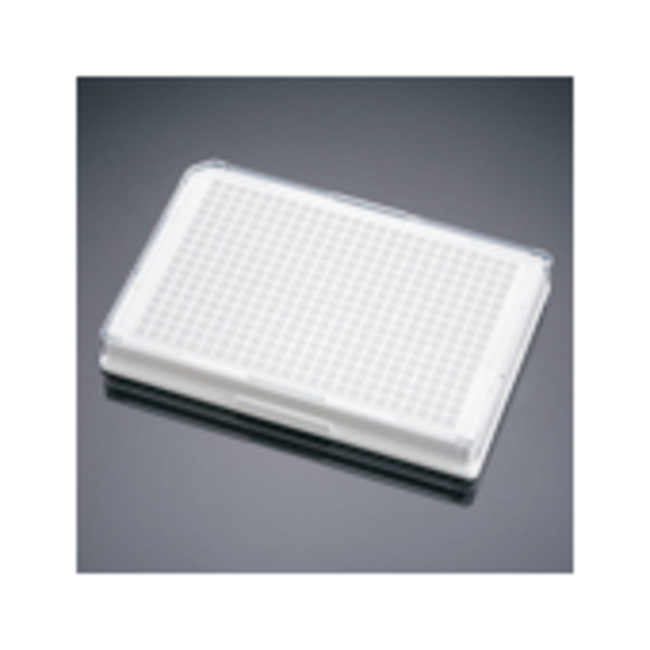 BioCoat&trade; 384-Well, Poly-D Lysine-Treated, Flat-Bottom Microplate