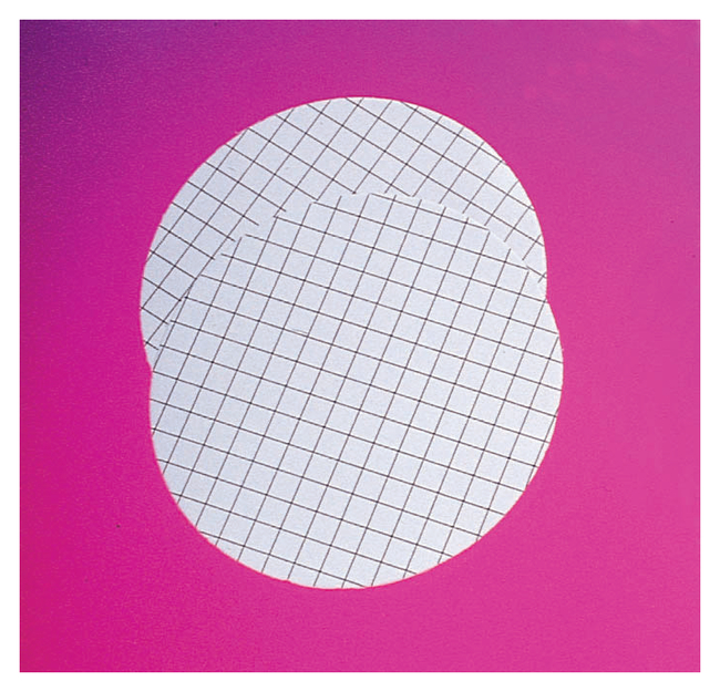 Whatman&trade; Mixed Cellulose Ester Membranes - WME Range, 0.45 &mu;m Pore Size