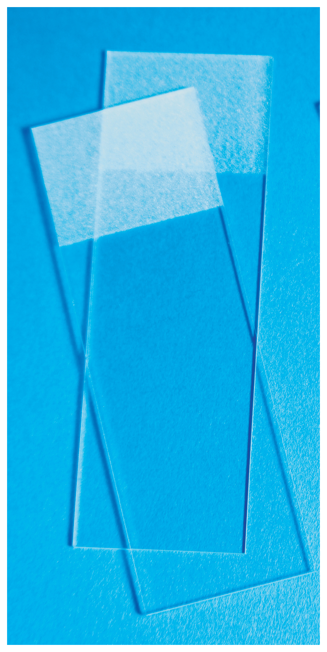 Superfrost&trade; Plus Stain Slides