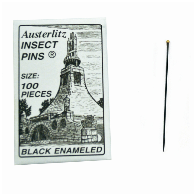 Premium Museum Grade Dissection Pins