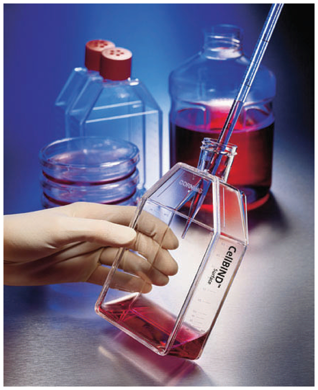 CellBIND&trade; Surface Cell Culture Flasks