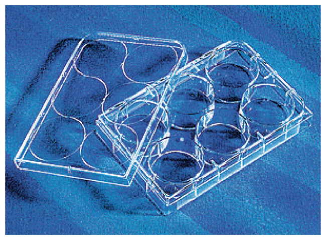 CellBIND&trade; Surface Microplates