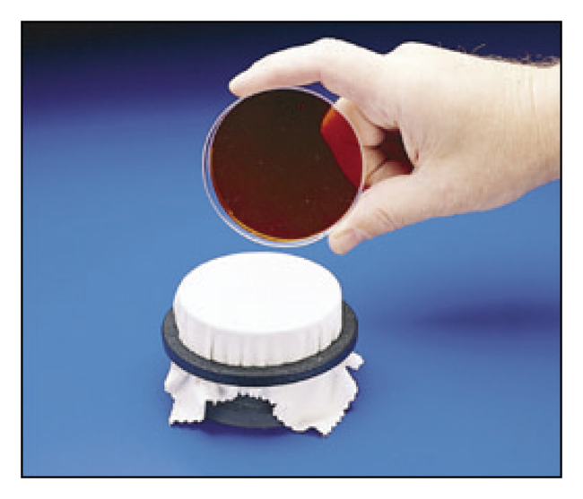 Replica-Plating Tool and Replacement Velveteen Squares Velveteen ...