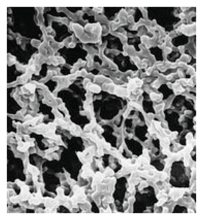 MF-Millipore&trade; Membrane Filter, 0.45 &mu;m, Gridded