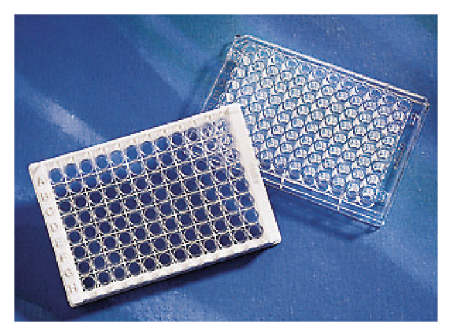 96-Well Clear Flat Bottom Sulfhydryl-BIND&trade; Microplate