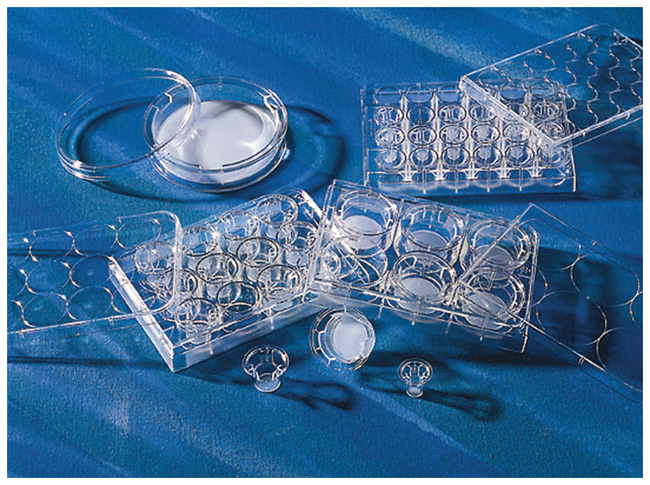 Transwell&trade; Multiple Well Plate with Permeable Polycarbonate Membrane Inserts