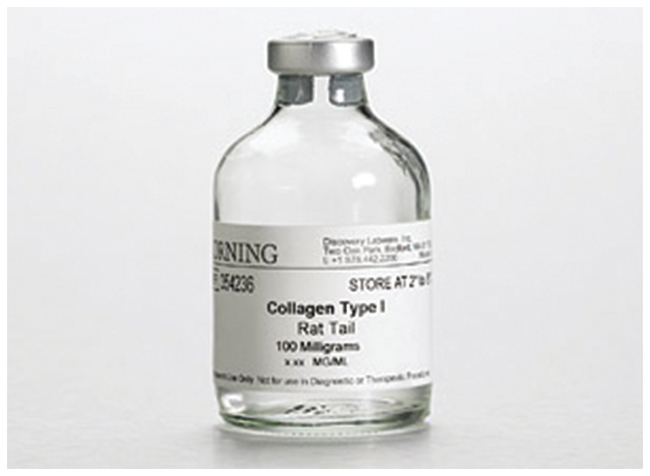 Collagen I, Rat
