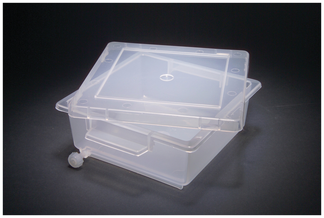 Gel Staining Tray