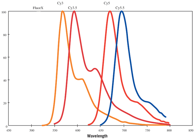 Amersham&trade; CyDye&trade; Fluorescent Nucleotides