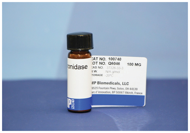 Hyaluronidase, Bovine Testes