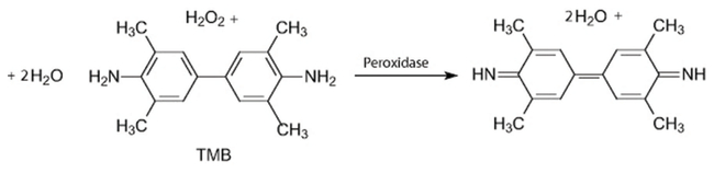 3,3',5,5'-Tetramethylbenzidine Liquid Substrate