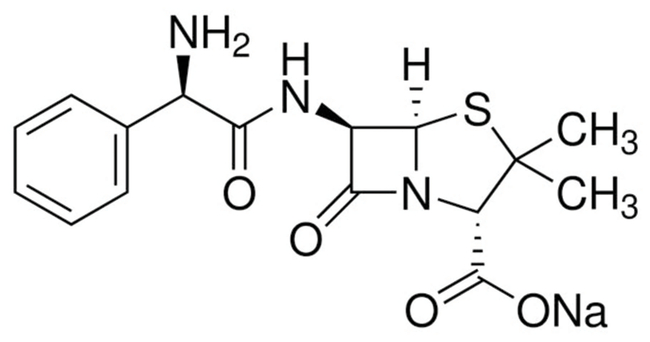 Ampicillin, Sodium Salt