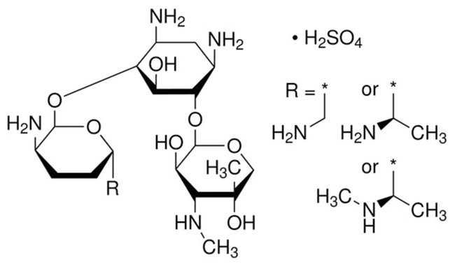 Gentamicin Sulfate