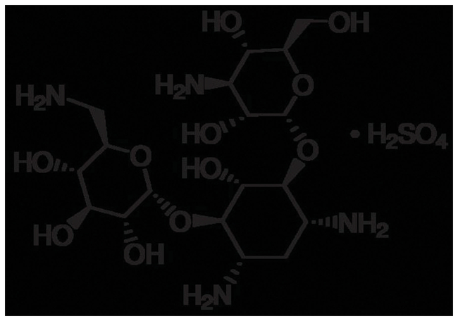 Kanamycin Sulfate