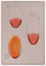 Blood Typing Kits with Simulated Blood