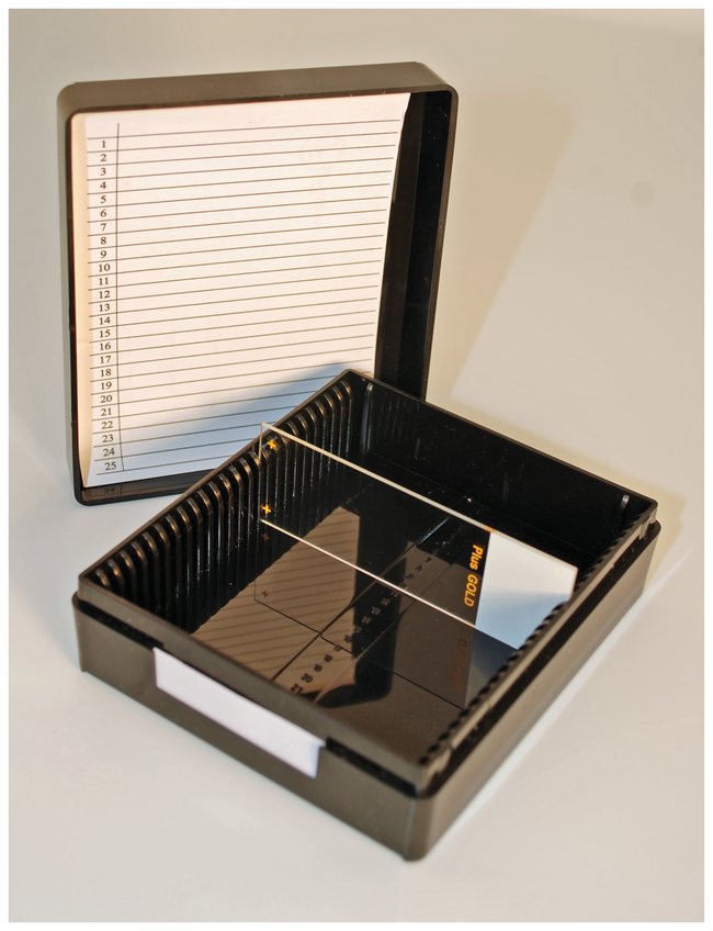 Microscope Slide Box