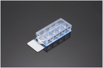 Chambered  Cell Culture Slides