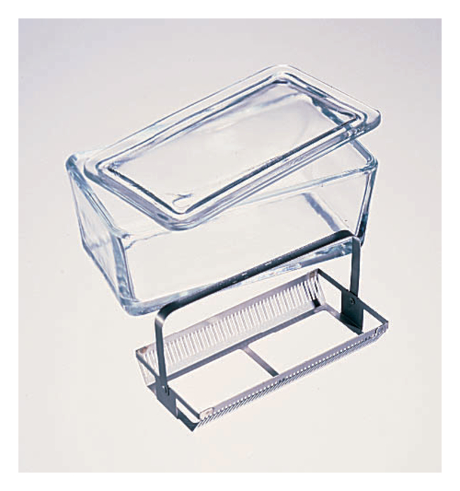 Wheaton&trade; Glass Staining Dishes for 50 Slides