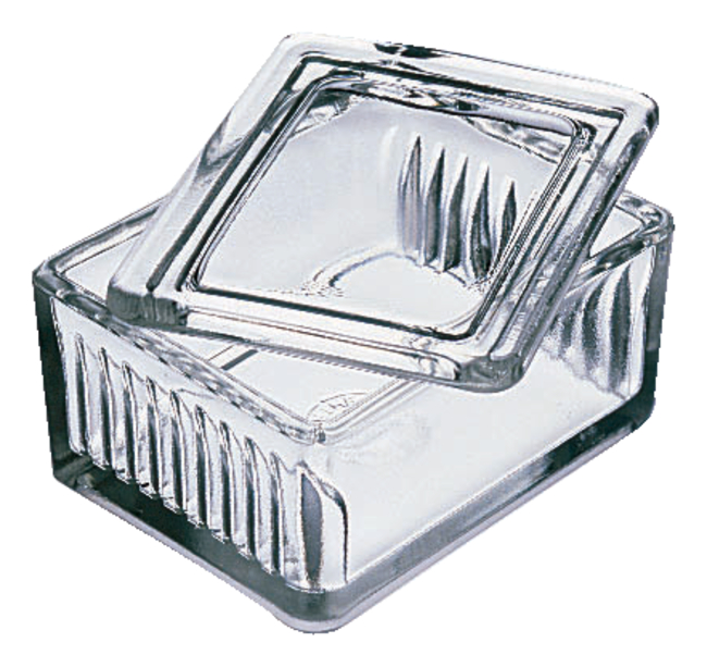 Wheaton&trade; Glass Staining Dish for 10 or 20 Slides