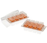 Nunc&trade; Lab-Tek&trade; Chambered Coverglass