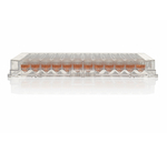 Nunc&trade; 96-Well Polystyrene Conical Bottom MicroWell&trade; Plates