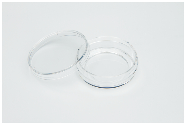 Nunc&trade; Glass Bottom Dishes