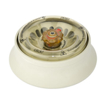 10 x 5 mL Rotor with ClickSeal Biocontainment Lid for Sorvall Legend Micro, MicroCL, Pico and Fresco Centrifuges